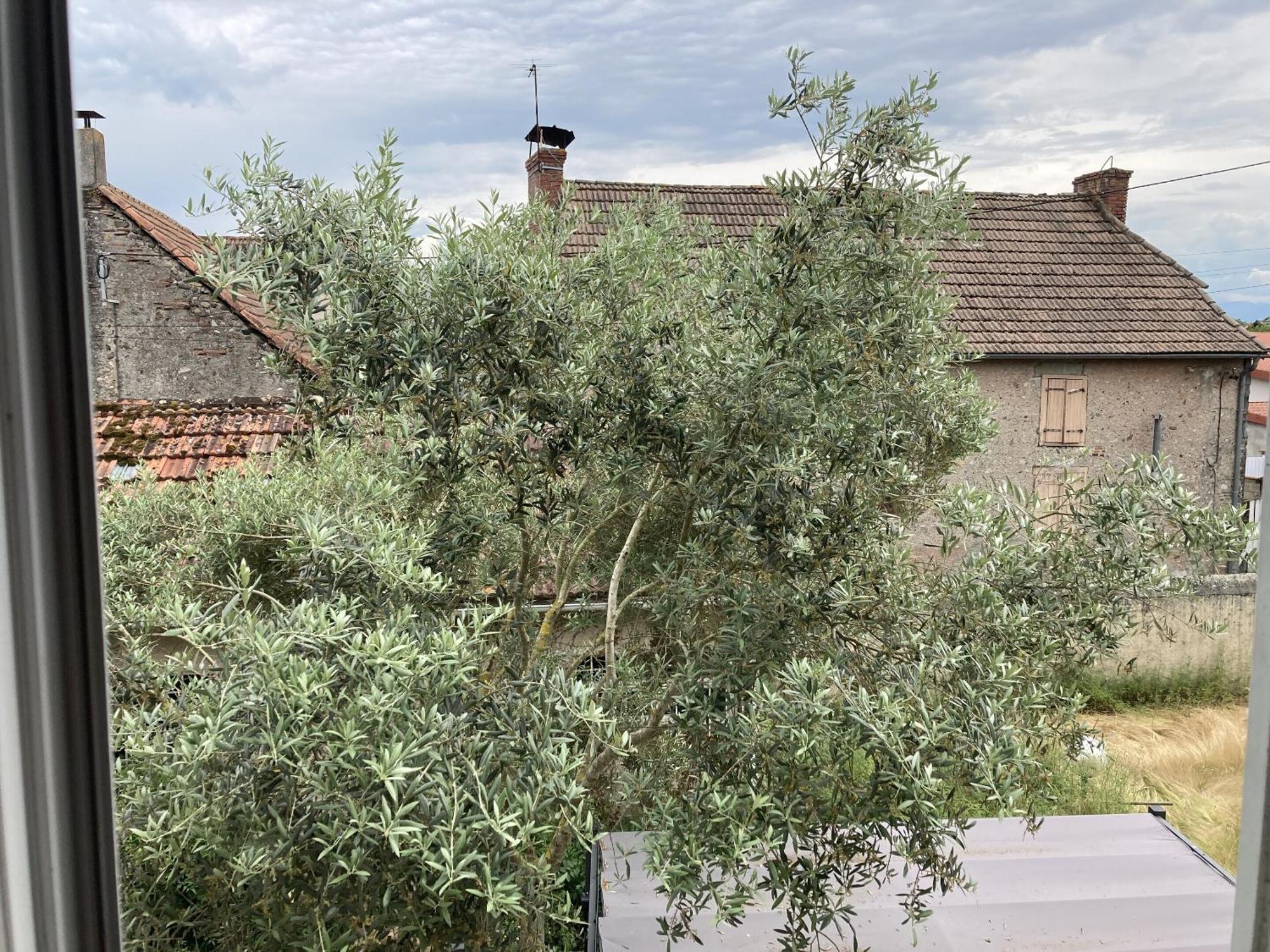 Location Appartement Des Pyrenees Borderes-sur-l'Echez Szoba fotó